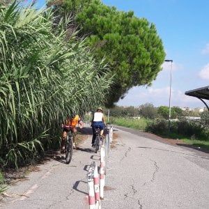 Roma, viaggio sulla ciclabile killer: “Una giungla di pericoli”