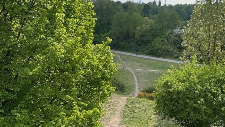 Milano, 15enne cade in bici e batte la testa su un sentiero del Parco Nord: gravissimo, è in prognosi riservata