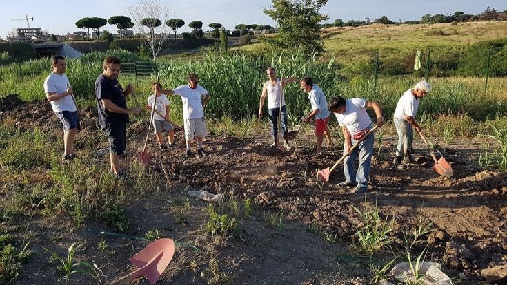 Viaggio nei quartieri, Casal Brunori: dove c’era una discarica adesso c’è l’orto collettivo