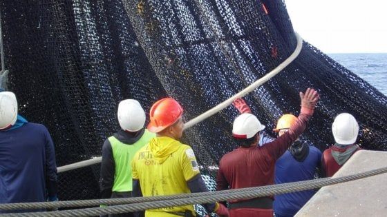 Oxfam e Bolton Group, un accordo contro lo sfruttamento sui pescherecci