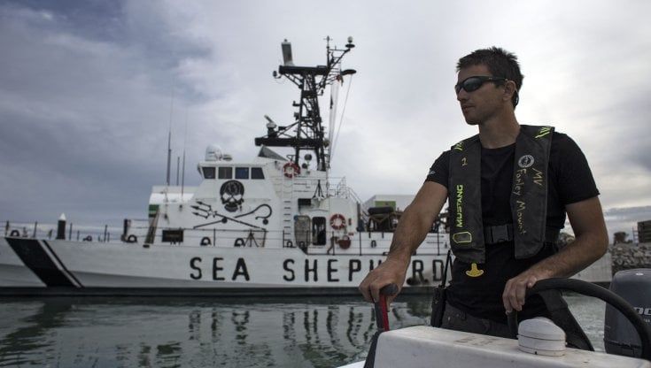 Battaglia in mare con gli ambientalisti, muore un pescatore