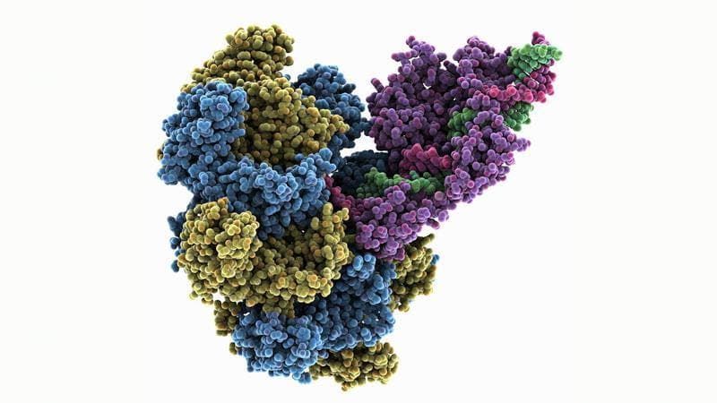 AlphaGenome di DeepMind usa l'intelligenza artificiale per decifrare il ...