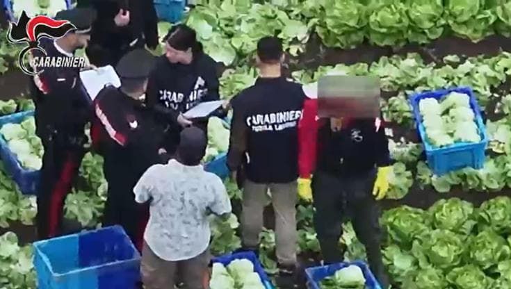 Potenza, braccianti ridotti in schiavitù: tredicimila euro per un visto, dodici arresti
