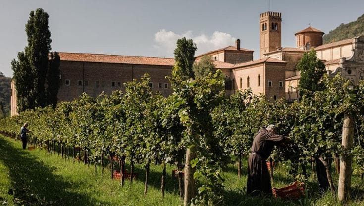 Ora, labora... e produci vino: le storie centenarie dei vigneti delle abbazie