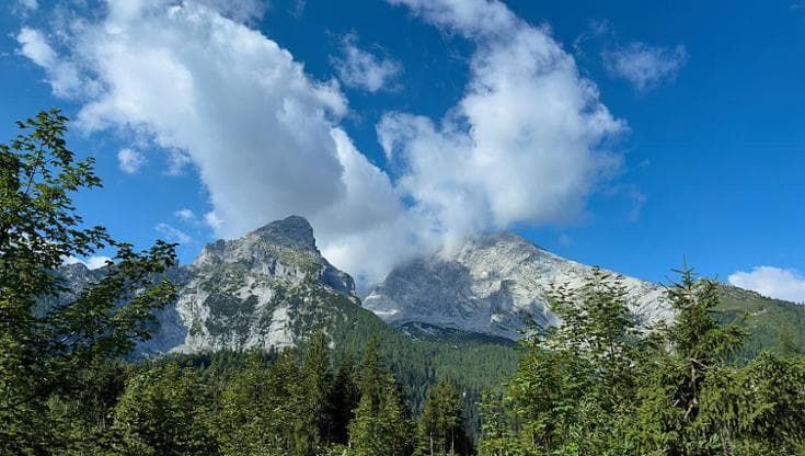 Le montagne europee stanno perdendo le loro piante d’alta quota