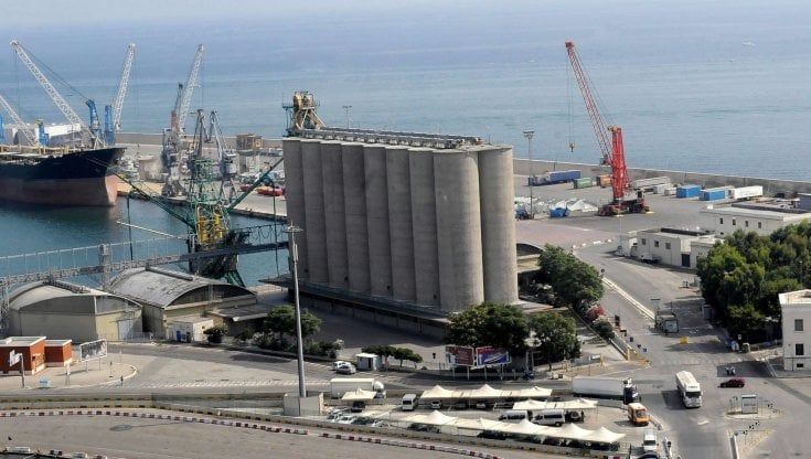 Bari, non arriva grano dall'Ucraina: prezzi al massimo e filiera a rischio stop