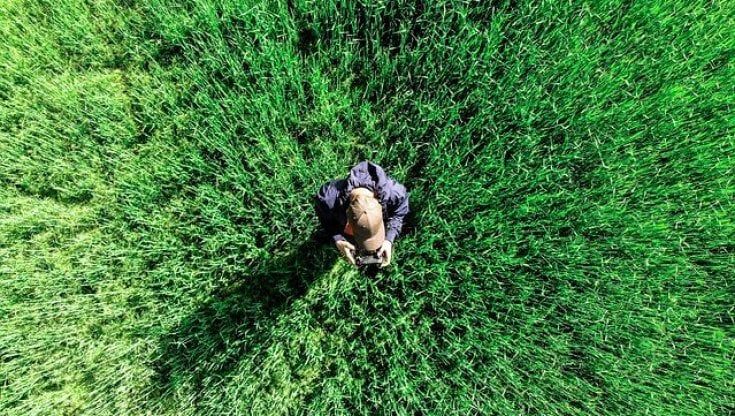 Api elettroniche per controllare che la produzione sia sostenibile: agricoltura di precisione nelle campagne toscane