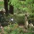The Wargame e la paura reale