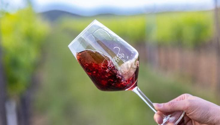 Chianti e Morellino, i migliori dieci assaggi