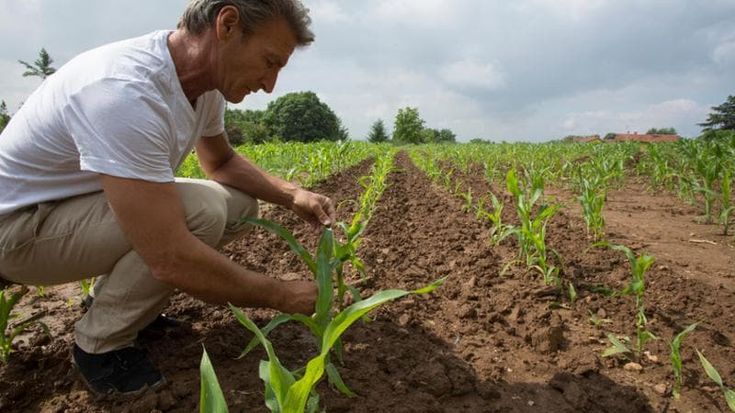 L’agricoltura in prima linea nella lotta al cambiamento climatico