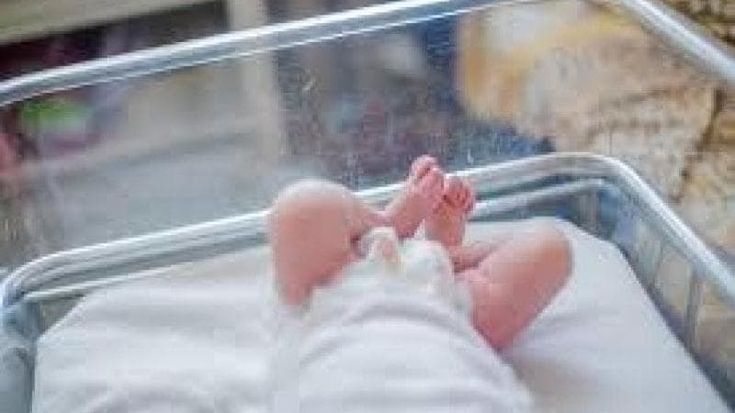 La corte europea condanna l’Italia: violati i diritti di Sonia, bimba nata da maternità surrogata