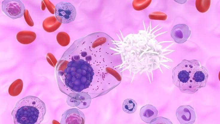 Leucemia mieloide cronica, nuovi dati a 3 anni: 24% di risposte in più rispetto a standard di cura