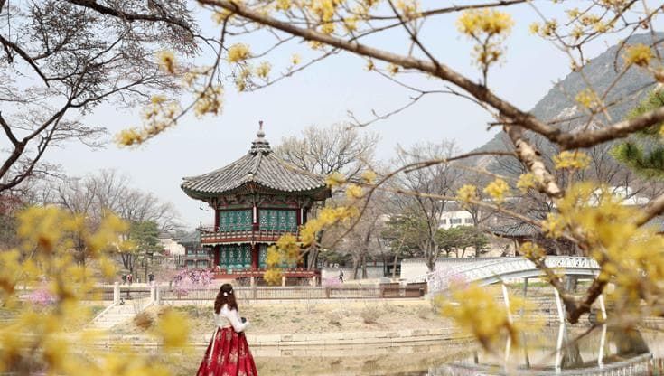L’Estremo Oriente tra meditazione zen e avanguardie metropolitane
