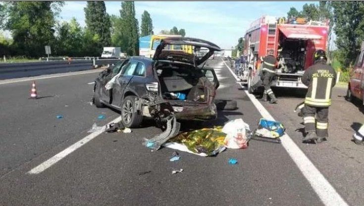 Caprioli, cervi, cinghiali in branco: due incidenti al giorno in Emilia 