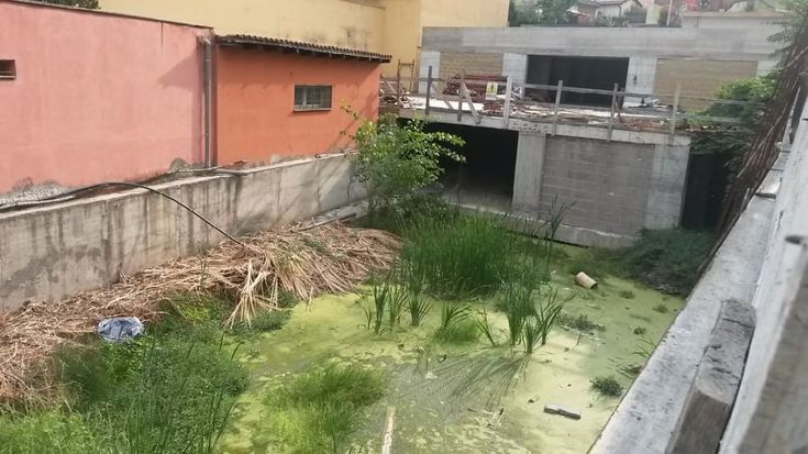 Degrado a Roma, le foto dei lettori / 5