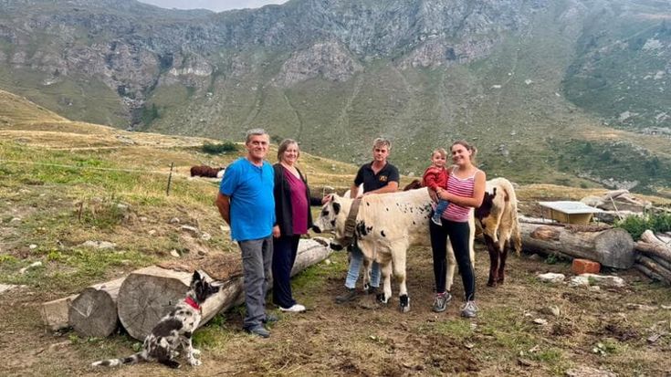 Tra i margari in fuga dagli alpeggi: “Qui l’erba è diventata troppo secca”