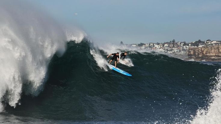 L’Australia taglia i visti a chi sogna “surf+lavoro”