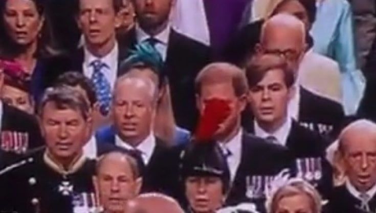 La piuma del cappello della principessa Anna "cancella" Harry. L'avrà fatto apposta?
