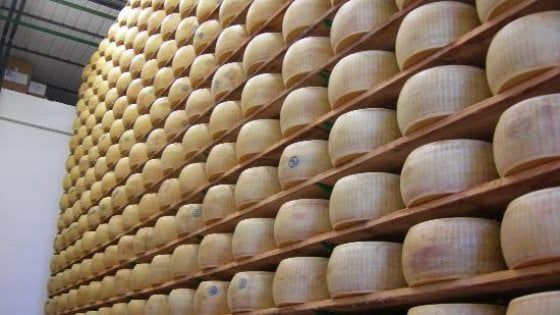 Ecco il Parmigiano Reggiano Halal, nuova sfida per il mercato islamico