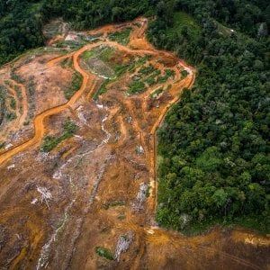 Difensori della terra contro l’estrattivismo: nasce una rete internazionale
