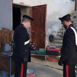 Pinerolo, tra la refurtiva spunta anche un vitello in buona salute