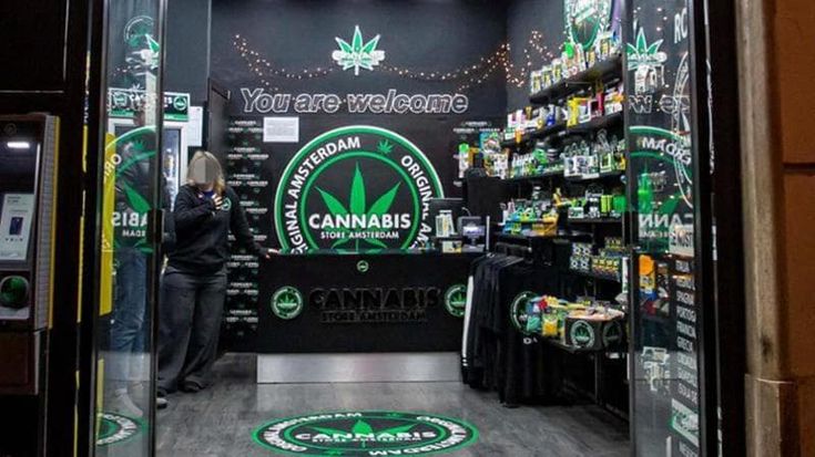 Cannabis, le aziende del settore possono lavorare: il Consiglio di Stato accoglie il ricorso