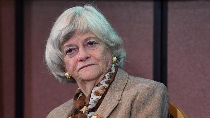 Il mistero Lady Brexit: arrestato un altro uomo. Dubbi sul movente