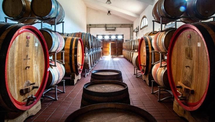 Enoturismo e sostenibilità, la cantina siciliana che da quasi 200 anni punta sull’innovazione