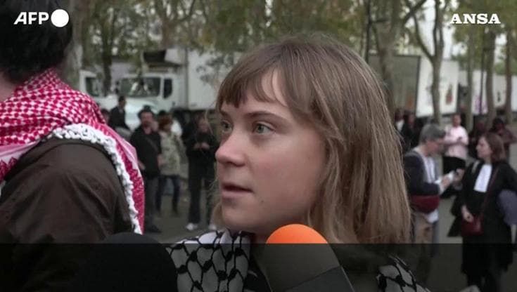 Francia, Greta Thunberg tra i liceali che manifestano a Parigi: "Ci batteremo per il nostro futuro"