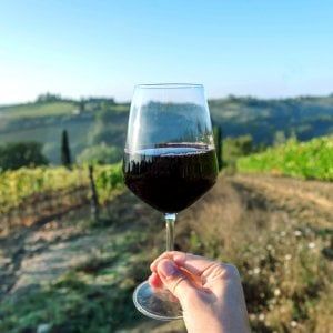 Abbona (Uiv): "Il vino italiano ha bisogno di ripartire dal business, strategico essere a fianco di Vinitaly"