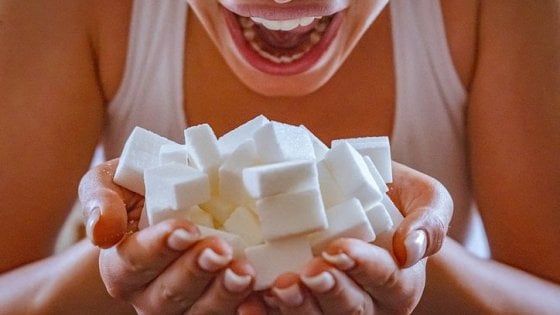 Il nostro cervello, animale e il cibo