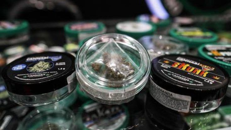 FdI vuole vietare la cannabis light: "Non ha effetti psicotropi, ma avvicina i giovani alla droga"