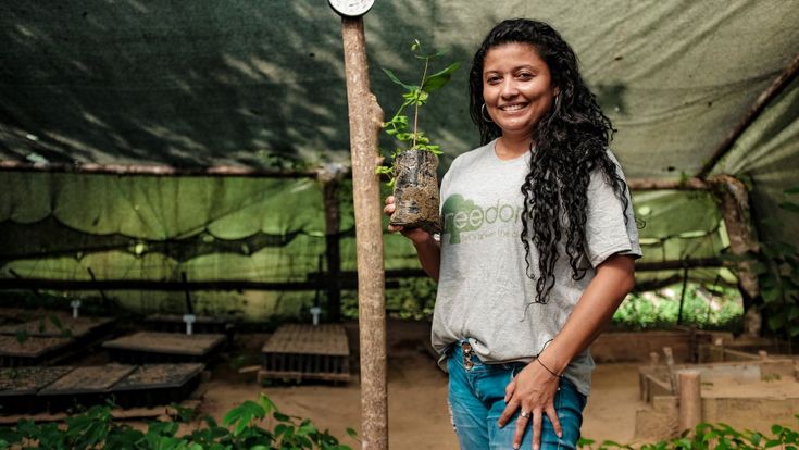 Treedom, l’azienda  che pianta alberi e foreste  per chi vuole ridurre la CO2