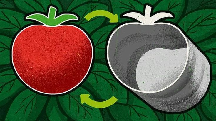 Alessandro Gassmann: un bosco dagli scarti di pomodoro