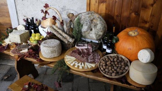 Andar per osmize , le "fraschette" golose del Carso