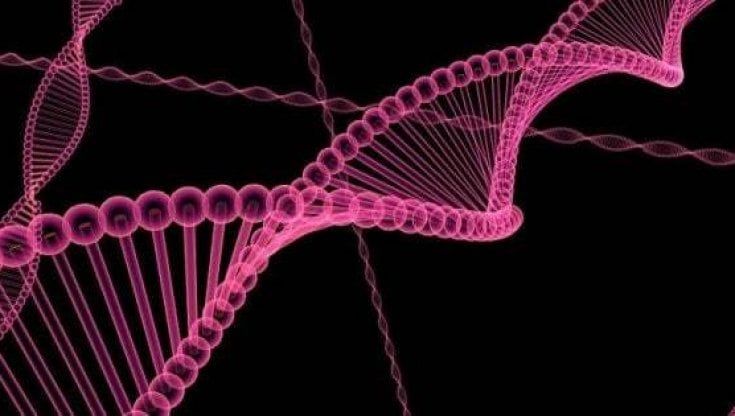 Tradurre il Dna in musica, biologo  mette in pratica il suo sogno: "Ognuno di noi suona in modo unico e speciale"