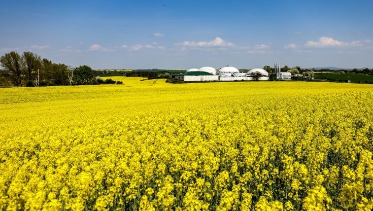 Le fonti rinnovabili, a tutto biometano sbloccati 1,7 miliardi per il gas alternativo