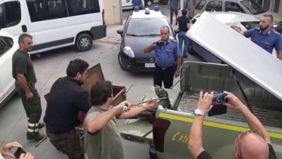 Ritrovato il caimano Jack. "Nel boschetto ci puntava"