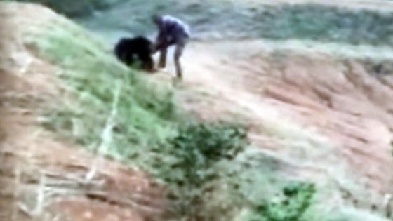 India, voleva farsi un selfie con l'orso: l'animale lo attacca e lo uccide