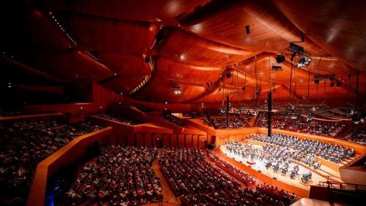 Santa Cecilia, da Argerich a Petrenko, una superstagione classica. Harding dirige Wagner