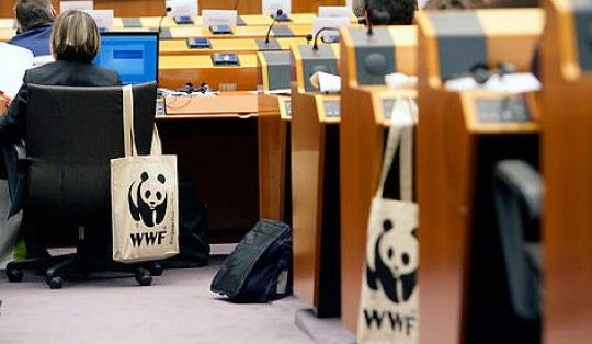 Europee: ad appello Wwf valanga di adesioni M5S, Tsipras e Verdi arrivano dopo