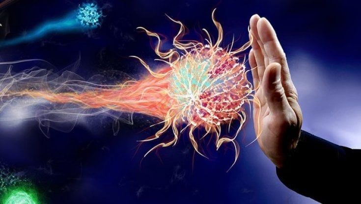 Covid, perché il nostro sistema immunitario risponde diversamente a infezione e vaccino