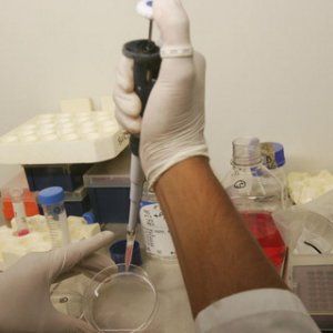 Tumore, Fda approva farmaco che utilizza virus herpes 'modificato'