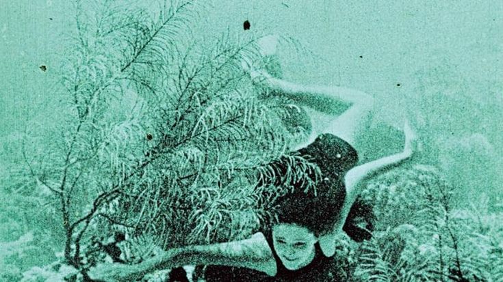 Tommaso Cerasuolo: “A CinemAmbiente vi portiamo con le note nella magia sotto il mare”