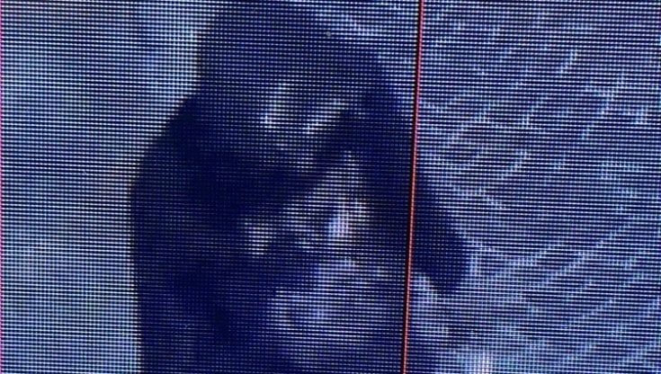 Parma, le telecamere incastrano il vandalo dei portali in piazza Duomo 