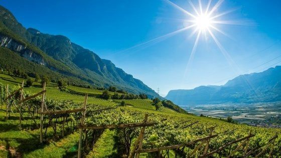 Caprai e Hofstätter, come vini e territori diversi si incontrano nel bicchiere