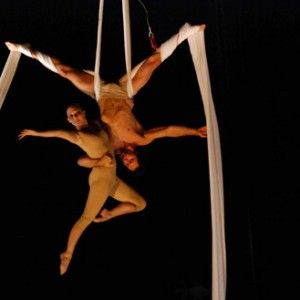 Il magico fluato mozartiano. Circo 99%<br />&ldquo;Repubblica&rdquo; animalista. Beautiful Loser