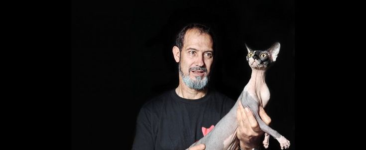 Se il gatto ci ruba l'anima