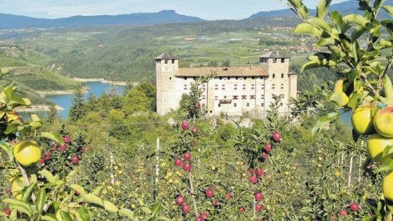 Giardini fruttati, la bellezza della natura in città