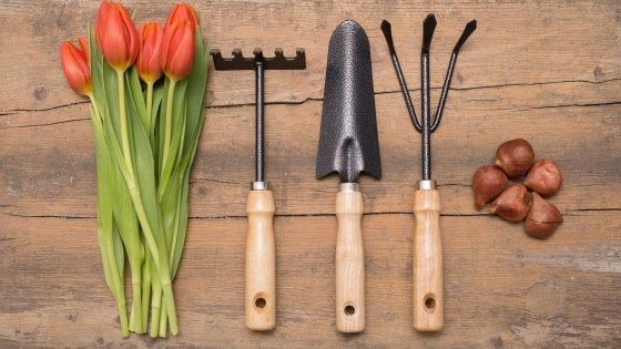 Doctor House: che strani dolori ha Eugenio Cosa gli è successo in giardino?